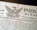 The phoenix rises from the fire... - Image 2