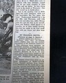 1934 Minnesota Golden Gophers are national champions... - Image 3