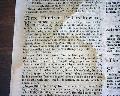 Slave Ads... -  - Image 6