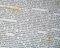 Preparing the Jewish homeland... - Image 3