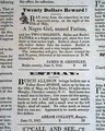 Broadside "Extra" from North Carolina... - Image 5
