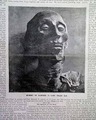 The Mechanics of Batting a Baseball...   Mummy or Rameses II... - Image 7