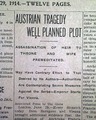 Assassination of Archduke Francis Ferdinand and Duchess... well planned plot... - Image 1