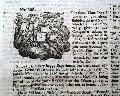 Pirates, and Edmund Halley.. - Image 6
