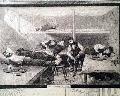President Garfield near death... Tennis on Staten Island... - Image 11