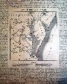 Rare map of the Civil War...   - Image 3