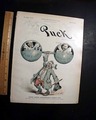 Popular for the 1894 colorful political cartoons... - Image 2
