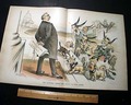 Popular for the 1894 colorful political cartoons... - Image 3