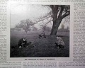 Alexander Graham Bell... - Image 6