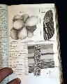 Bound volume for 1790... - Image 14
