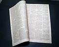 News that Andrew Jackson was victorious at New Orleans... - Image 6