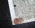 Imprisonment of "President" Laurens in England... - Image 4