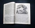 Magazine in the Welsh language... - Image 4