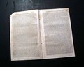 The Jew Bill...   Striving for equal rights for the Jews... - Image 7