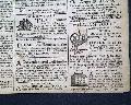 RATIFYING THE CONSTITUTION... letter from John Adams... - Image 8