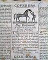 Murder and piracy, and trouble with Indians... - Image 6