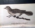 Ticonderoga... Article by Ben Franklin... Much more... - Image 17