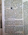 Much on the California Gold Rush...   The Mexican War... - Image 11