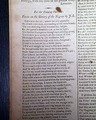 Thomas Jefferson Proclamation... - Image 4