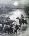 Texas Longhorns illustration... - Image 1