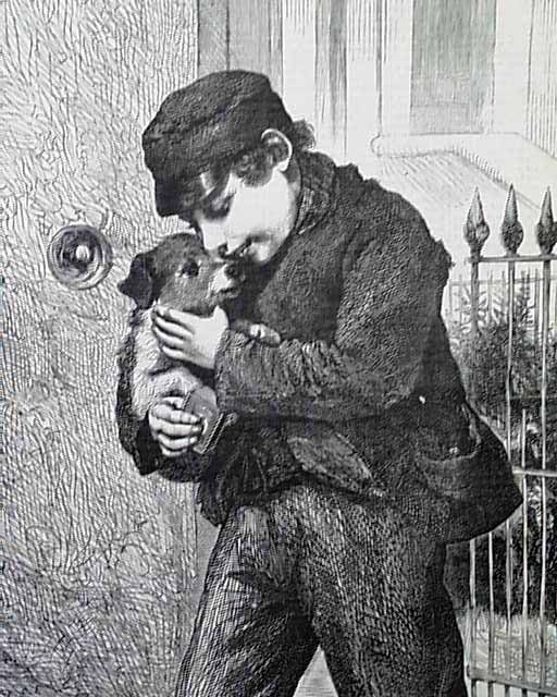 Rescued from the Pound illustration...