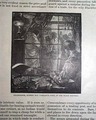 Hudson Bay Company... Maryland - oysters... - Image 3