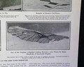 Aero Club exhibition... - Image 8