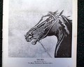 Horseracing magazine with a displayable prints and ads... - Halma - the famous race horse... Fasig-Tipton ads (3)... - Image 2