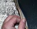Charle's Dickens - The Battle of Life... - Image 4