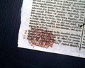 Revolutionary War in it's infancy..... - Image 8