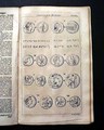 News reports from America... - Image 10
