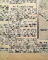 Mentions of Auschwitz, Leipzig, and Belsen camps... - Nazi Camp Horrors...  The Taking of Nuremberg... - Image 8