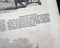 Print of the Mormon city of Nauvoo... - Image 9
