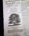 Uncommon anti-slavery newspaper... - Image 3