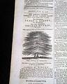 A great title for an anti-slavery themed newspaper... - Image 5