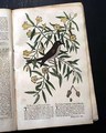 Print of a Charleston church...   The British Jew Bill... - Image 13