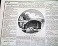 Huge eagle engraving in the masthead... - Image 4