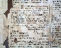 A runaway slave has his document of freedom... -  - Image 4