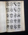 Jamaica Anthelmia... - Image 10