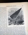 Diamond mines...  Stephen A. Douglas on slavery... - Image 6