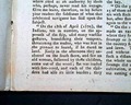 Terrific & early on Botany Bay... - Image 6
