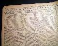 Jacob Ruppert... New York Yankees ownership... - Image 3