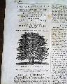 1843 John Tyler Meassage In Anti Slavery...   - Image 5