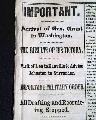The day Lincoln was shot... - Image 3