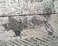 Civil War map showing the Yankee and Confederate territories... - Image 1