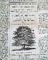 Anti-Slavery Sentiment... - Image 5