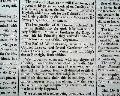 Female Society of Toxopholites... Cricket... French Assembly... - Image 4