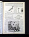 Dinosaurs... - Image 6