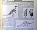 Dinosaurs... - Image 7