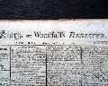 Early cricket report... - Image 1